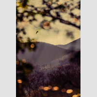 © Albarrán Cabrera / RM