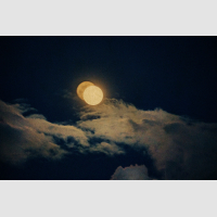 © Albarrán Cabrera / RM