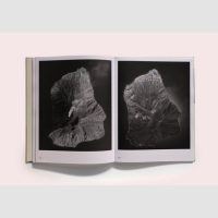 © Chiara Indelicato / Palais Books