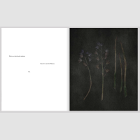 © FLORE / Maison CF