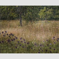 © FLORE / Maison CF