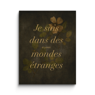 FLORE - Je suis dans des mondes &eacute;tranges