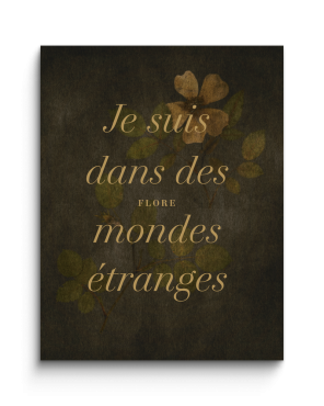 Je suis dans des mondes &eacute;tranges
