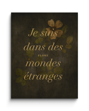 FLORE - Je suis dans des mondes &eacute;tranges