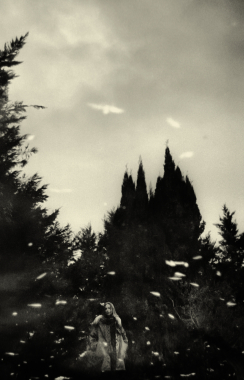 Reflets, 2015