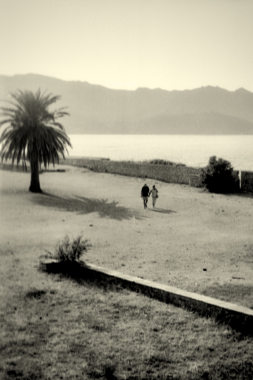 San Firenzu, 2015