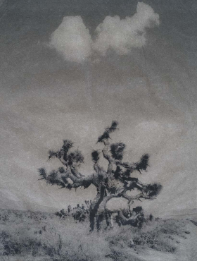 Vallée de la Mort