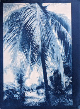 Bleu #1