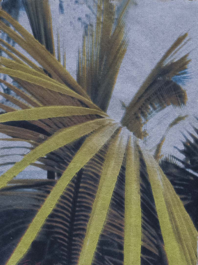 Martinique #1