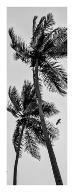 Tree of life #3