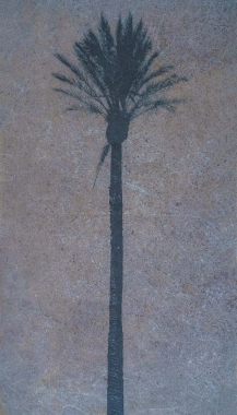 Cirée