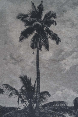 Martinique #2