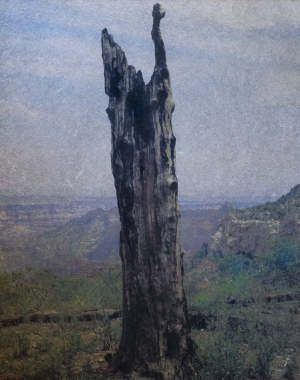 Grand Canyon