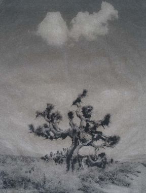 Vallée de la Mort