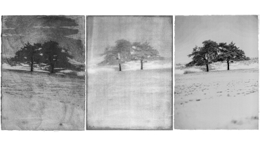 Triptyque Lebosmorin