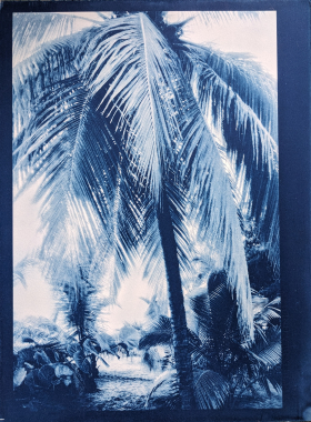 Bleu #1