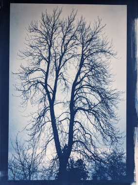 Bleu #2