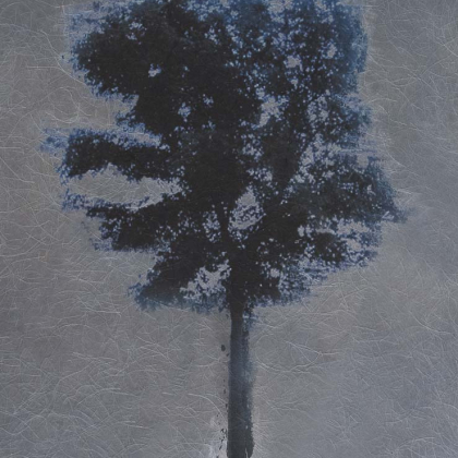Big Trees