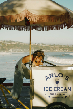 Arlo's Ice Cream