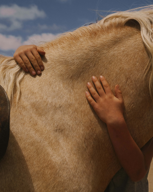 Embrace of trust