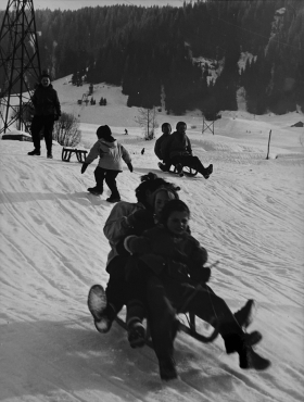 Descente en luge