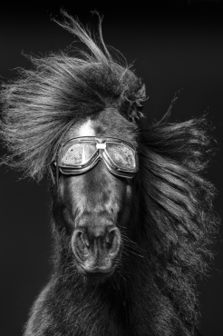 Rockstar