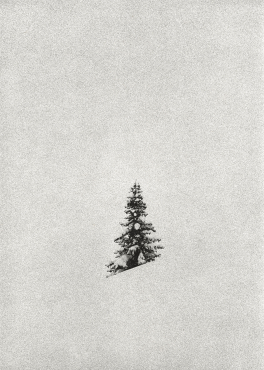 Gravity
