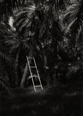 Escape route #23