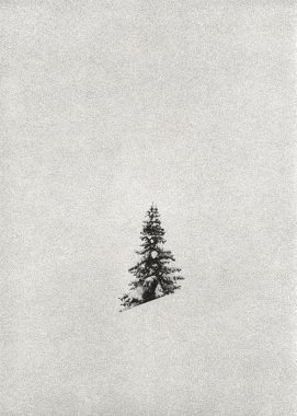 Gravity