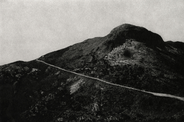 Severed landscape