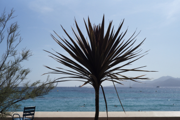 Plage #3