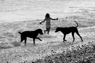 Entre amis