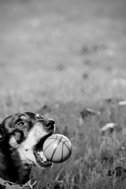 My ball