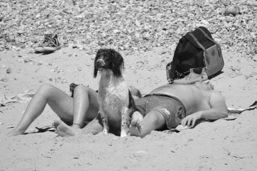 Sun protection