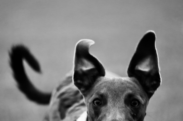 Watching you