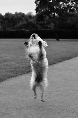 Levitation
