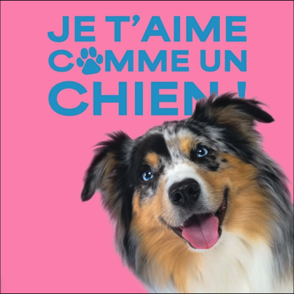Je t'aime comme un chien