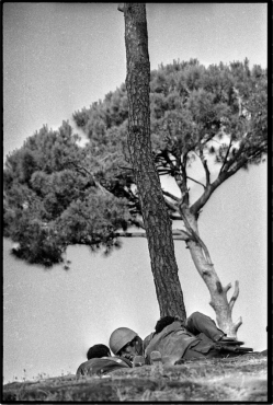 Op&eacute;ration paix en Galil&eacute;e.