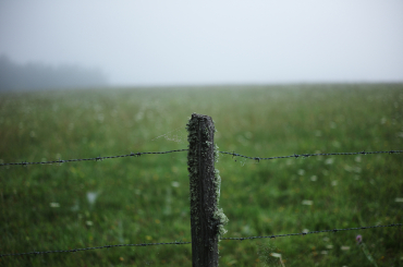 La clôture, Auvergne, 2013