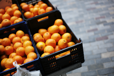 Les oranges, Catalogne, 2013