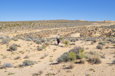 Lost in Desert, 2023.