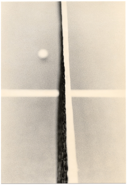 Untitled (net), 2025