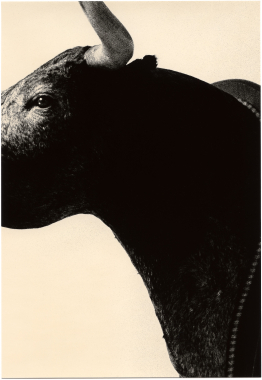 Untitled (trophy), 2024