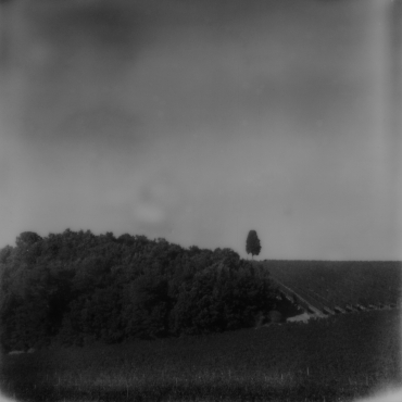 Paysage italien, Toscane, 2019