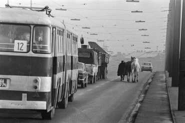 Pont Petöfi, 1976