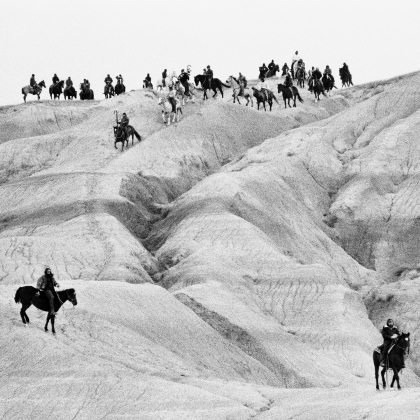 The Horse Nation