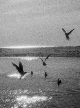 For a second, the whole beach felt weightless.