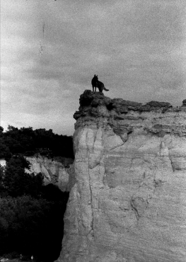I couldn&rsquo;t tell if he was protecting the landscape or part of it.