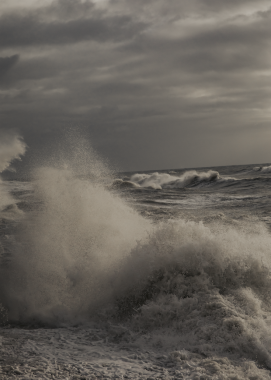 Even the roughest waves felt in harmony.