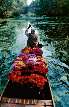 Flower Seller, Dal Lake, Srinagar, Kashmir, 1996